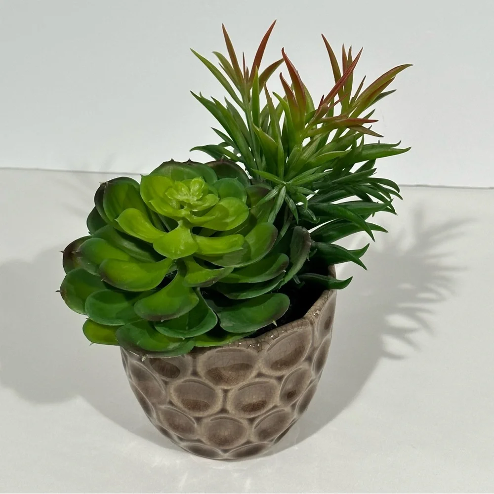 Ceramic Potted Faux Succulents Artificial Plant Decor